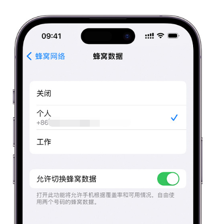 安徽苹果维修服务分享如何在iPhone上使用双卡 